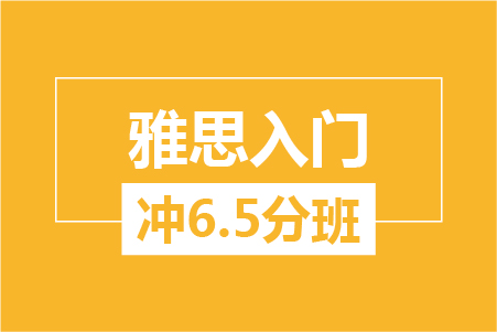 雅思入门6.5分大班