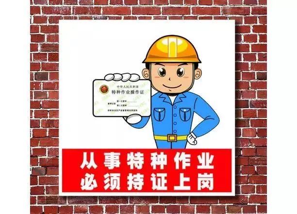 中共中央办公厅 国务院办公厅印发《关于加快推进公共法律服务体系建设的意见》